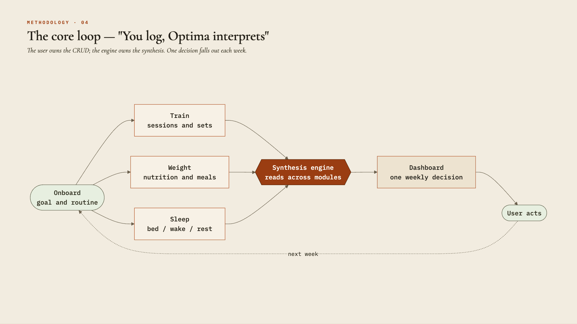 Flow diagram of Optima's core loop — the user logs, the engine interprets, one weekly decision falls out